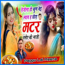 रोजीना ही कुण बेई ल्याव ह छोरा मटर पनीर की भाजी