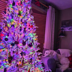 Still Wish You Were Here