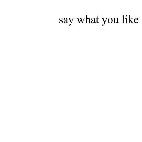 Say What You Like