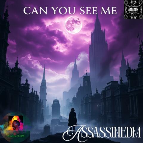 Can You See Me
