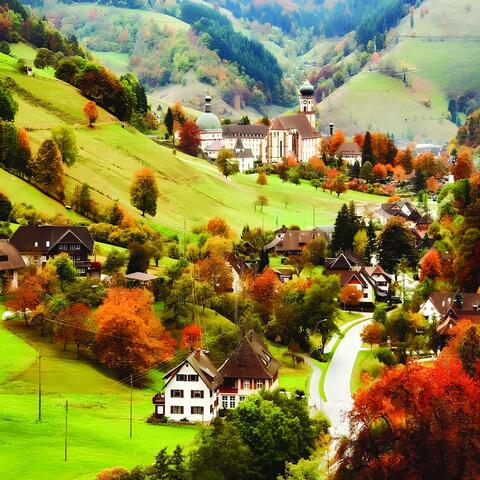 Autumn Reveries