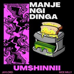 Umshinnii (feat. JAYLORD & Moe milly) (Special Version)