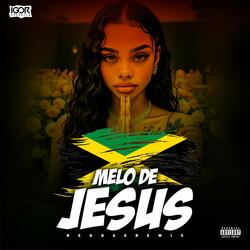 MELÔ DE JESUS TÁ LÁ, MELHOR AMIGO (Reggae Remix)