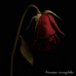 Promesas Incumplidas