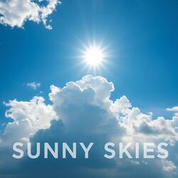 SUNNY SKIES