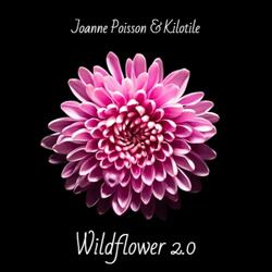 Waves of Emotion (Orchestral Version)