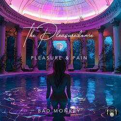The Pleasuredome part 9 (Pleasure & Pain)