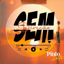 PINTO LEITE - Sem Direcção (Sem Norte)