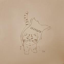 แจ็คผู้ฆ่ายักษ์ (Jack vs Giant)