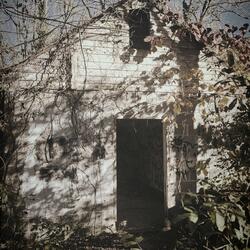 exterminate (reimagined)