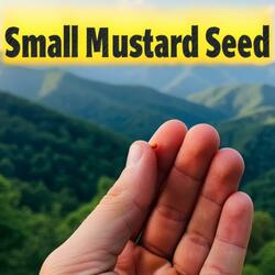 Small Mustard Seed