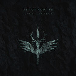 Synchronize (Jayden Carr Remix)