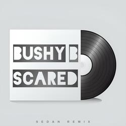 Scared (Sedan Remix)