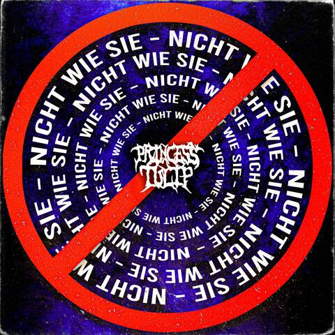 Nicht wie Sie (feat. lostboyyorick)