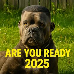 Are You Ready 2025