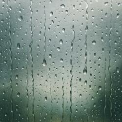 Rain on Window