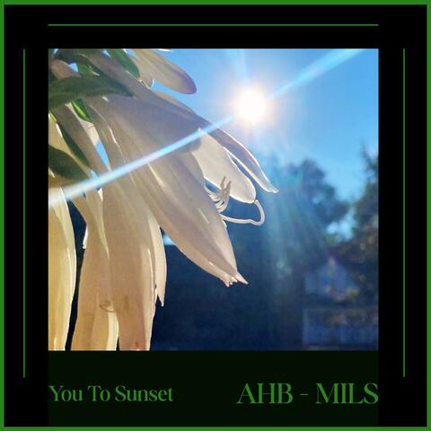 You To Sunset