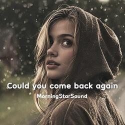 Could You Come Back Again