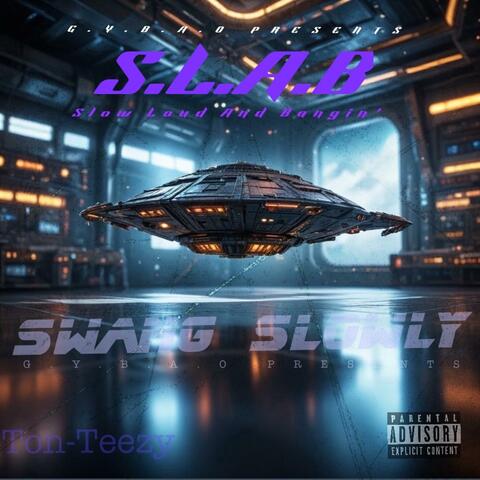 Swang Slowly (Slowed)