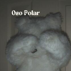 Oso Polar