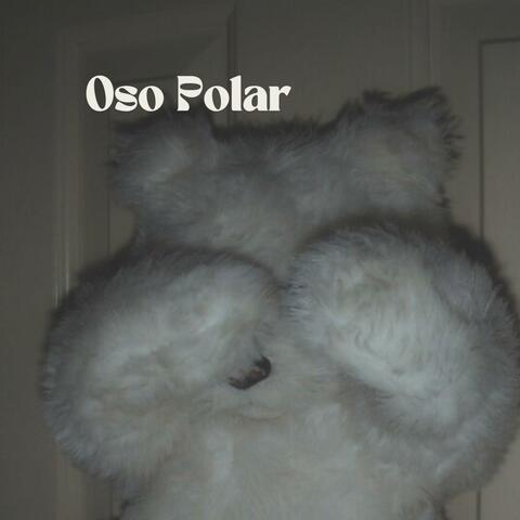 Oso Polar
