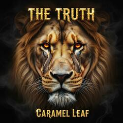 THE KARMA (Version 2)