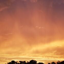 upon a golden canvas sky