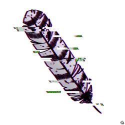 Feather