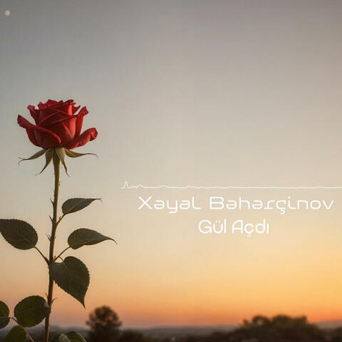Gül Açdı