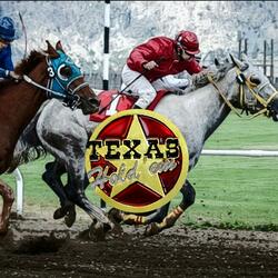 Straight Out The Gate (Start Gate)