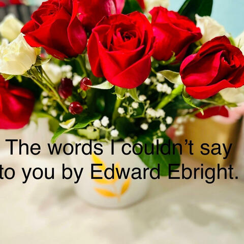 The words I could'nt say to you