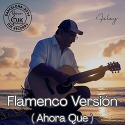 Flamenco Versión (Ahora Que)