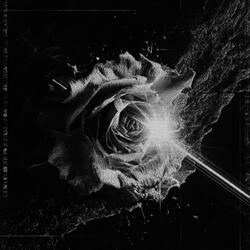 ASCENT (super slowed)