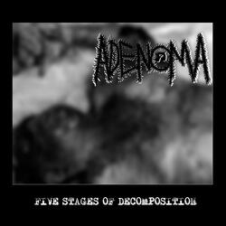 PRESERVATION OF HUMAN REMAINS