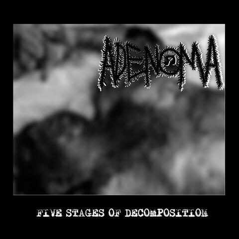 FIVE STAGES OF DECOMPOSITION