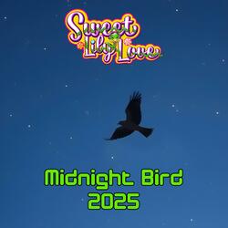 Midnight Bird (2025)