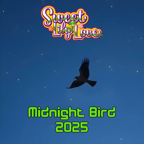 Midnight Bird (2025)