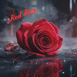 Red Rose