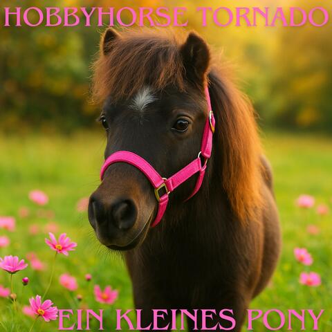 Ein kleines Pony