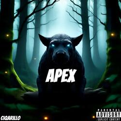 APEX