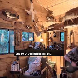 Stream Of Consciousness 142