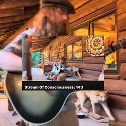 Stream Of Consciousness 143