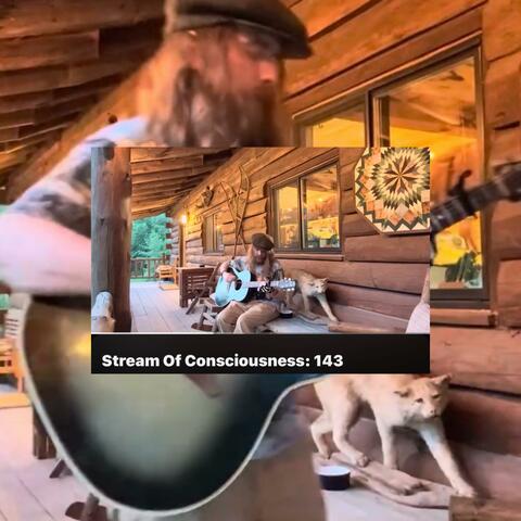 Stream Of Consciousness 143
