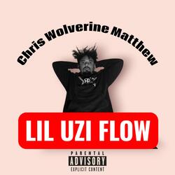 LIL UZI FLOW (Radio Edit)