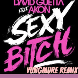 Sexy Bitch (mix)