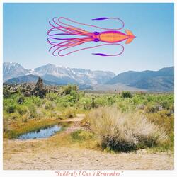 Wander Round My Mind