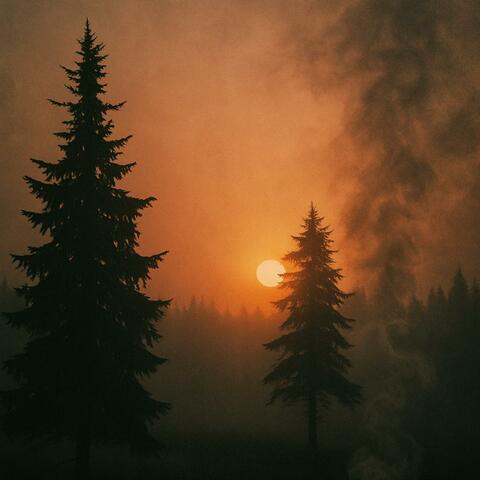Slow Burn