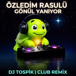 Özledim Rasulü Gönül Yanıyor (Club Remix)