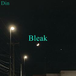 Bleak