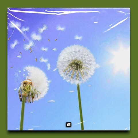 Spring (Reggae Instrumental)